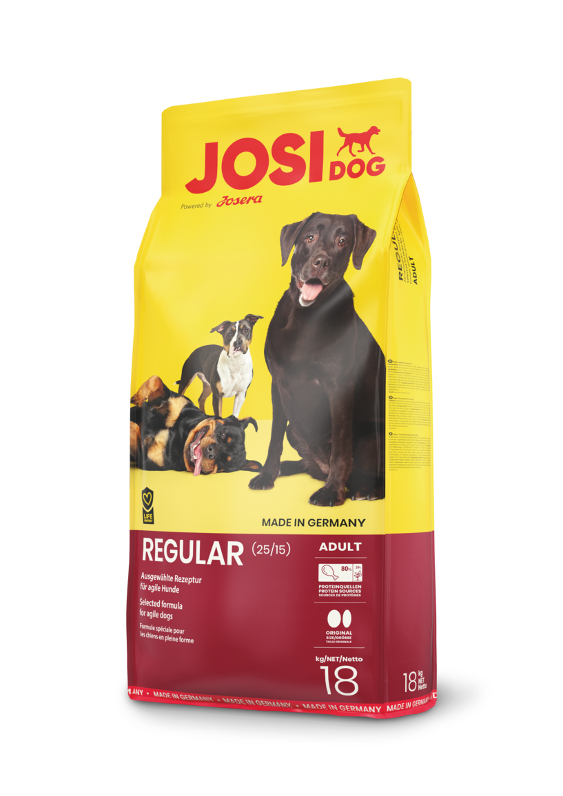 josi-dog-רגיל